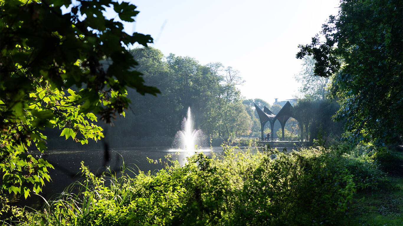 Het Boerhaavedistrict