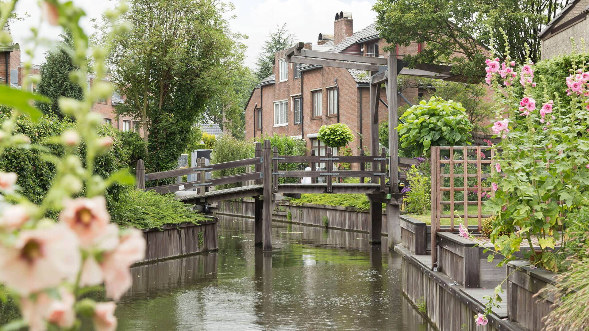 Nieuw nestje in de Vogelwijk, Leiderdorp