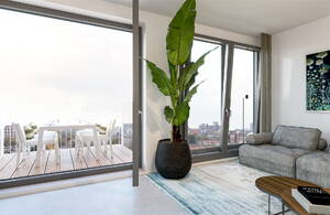 Omegaplantsoen 288, LEIDEN