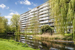 Condorhorst 95 Leiden