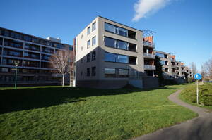 Virulypad 27, LEIDEN