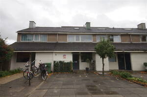 Iepentakvlinder 4, LEIDEN