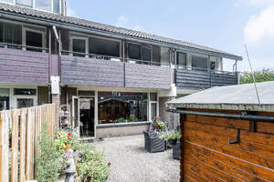 Ligusterbes 4, Leiden