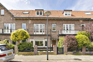Fagelstraat , Leiden