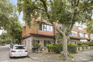 Fagelstraat , Leiden