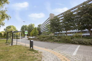 Cruquiuslaan , Leiden