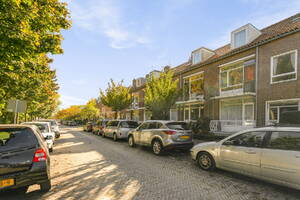 Roomburgerlaan , Leiden