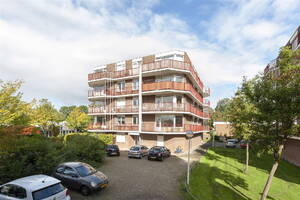 Pluimgras 12 LEIDEN Pluimgras 12 LEIDEN