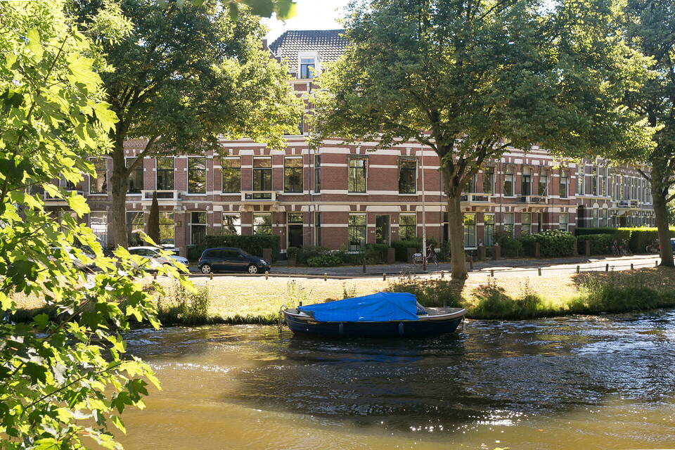 Expert Professorenwijk